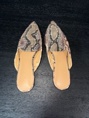 Express Snake-Print Pointed Toe Mules - Beige & Taupe